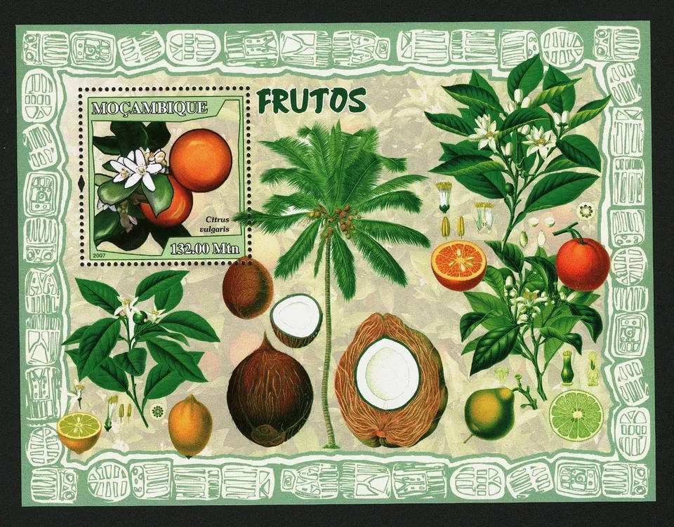 Mozambique 2007 Fruit M/S HMN