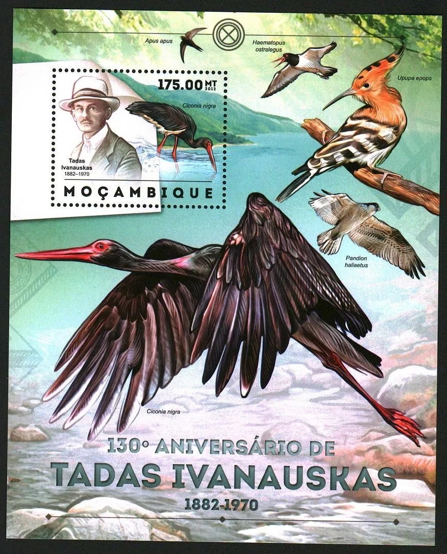 Mozambique 2012 Tadas Ivanauskas Birds M/S MNH