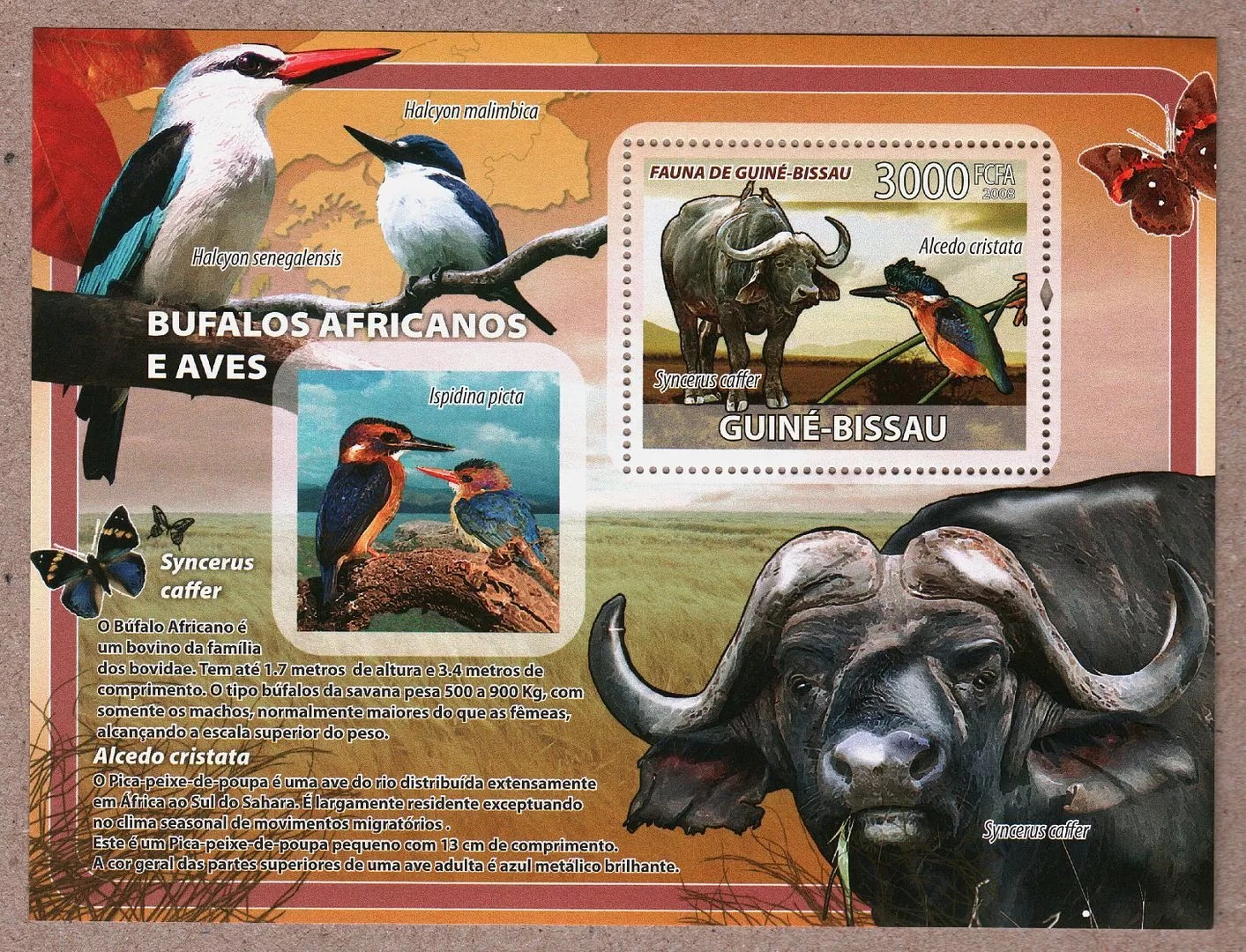 Guinea Bissau 2008 African Buffalos And Birds M/S MNH