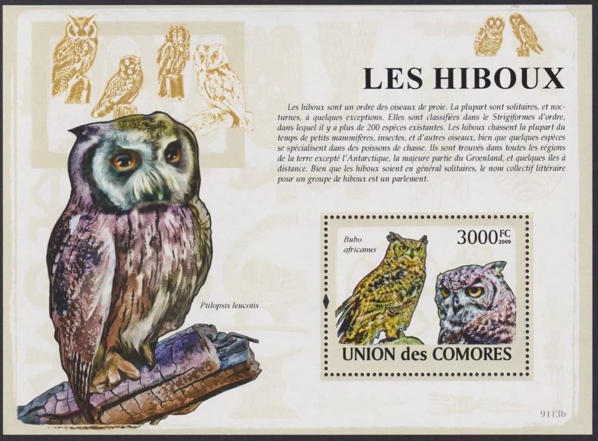Comores 2009 Hiboux Owl Birds M/S MNH