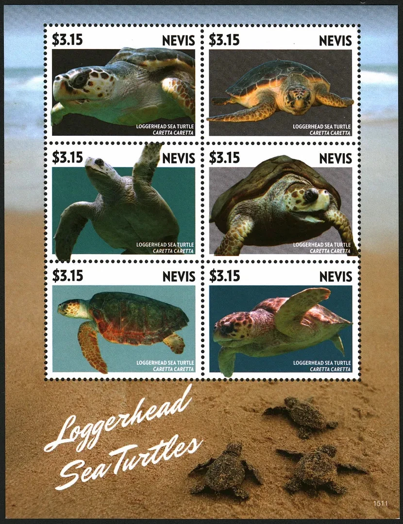 Nevis 2015 Sea Turtles Marine Life M/S MNH