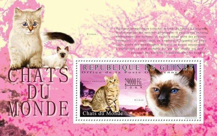 Guinee 2009 Cats of the World M/S MNH