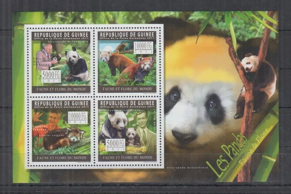Guinee 2011 Animals Pandas M/S HMN