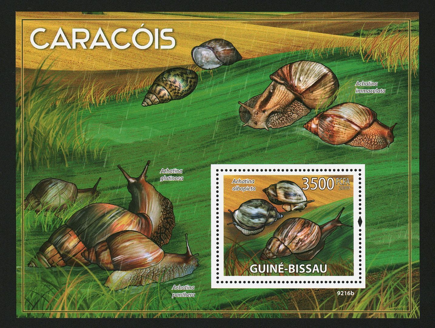 Guinea Bissau 2009 Marine Life Snails Shell M/S MNH