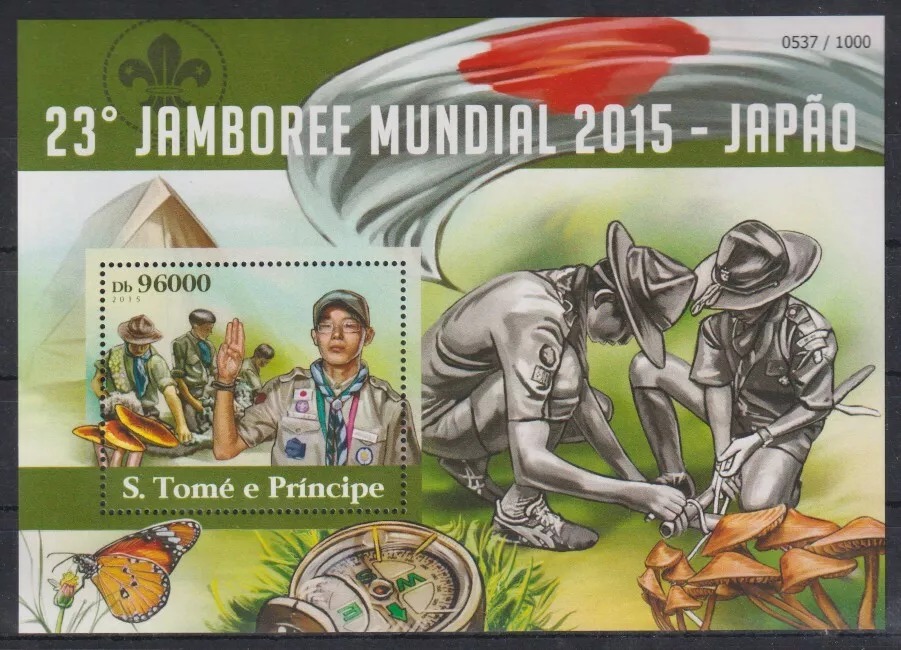 Guinee 2015 Scouting M/S HMN
