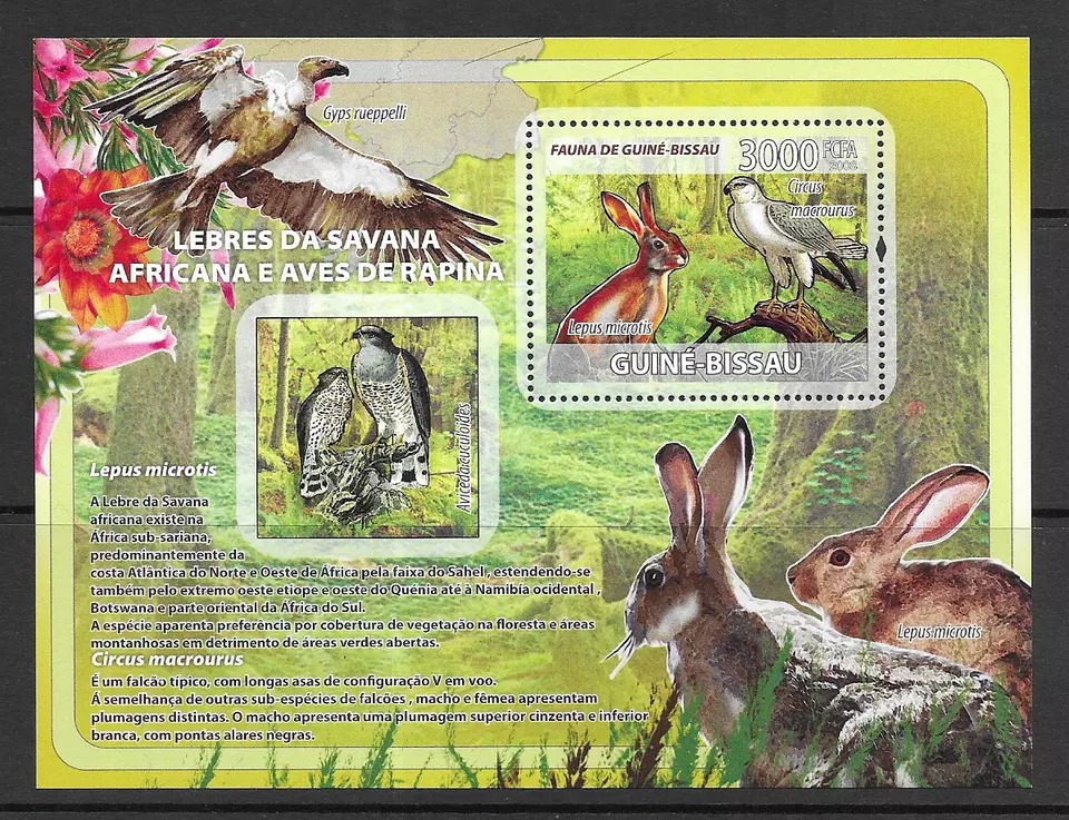 Guinea Bissau 2008 Rabbits & Birds of Prey M/S MNH