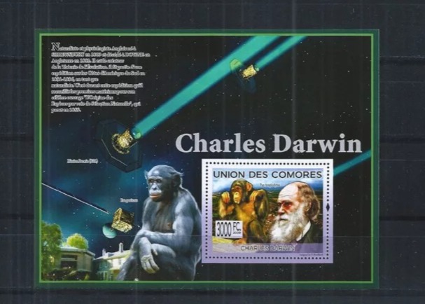 Comores 2009 Charles Darwin Flora M/S MNH