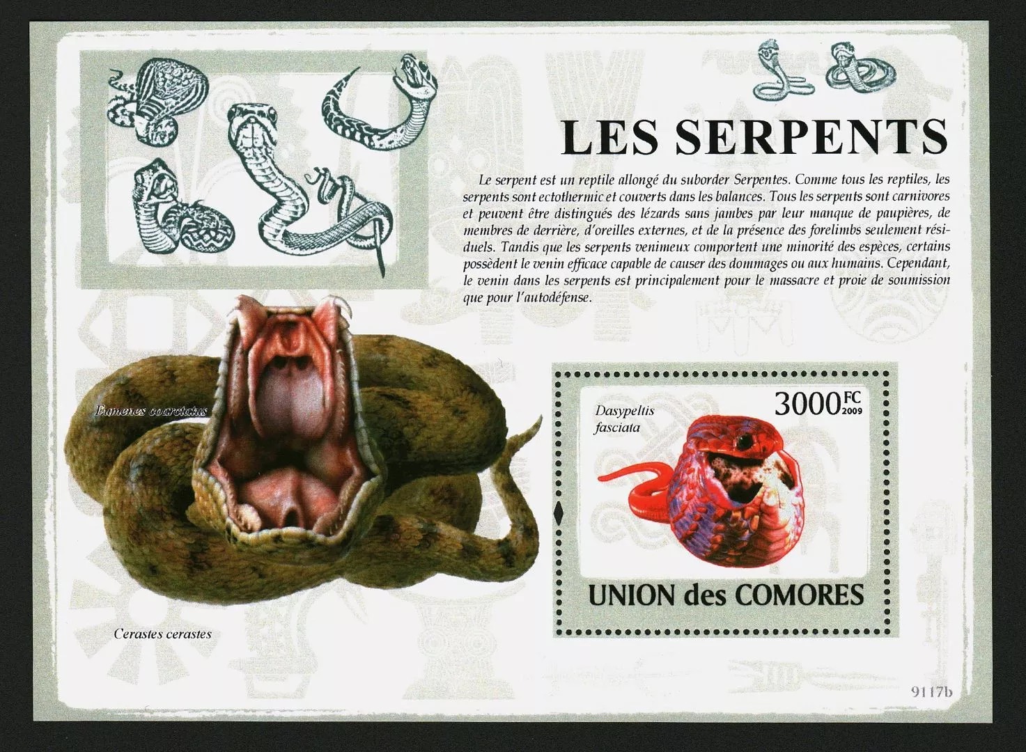 Comores 2009 Snakes M/S MNH