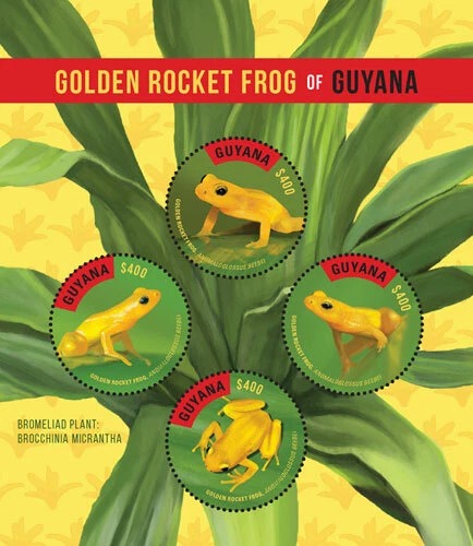 Guyana 2016 Golden Rocket Frog ODD SHAPE M/S MNH