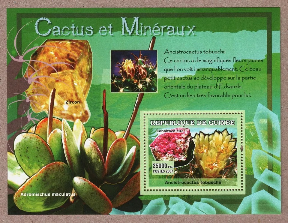 Guinee 2007 Cactus And Minerals M/S MNH