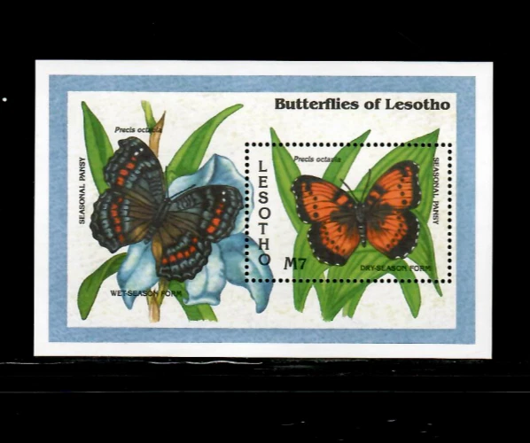 Lesotho 1993 Butterflies M/S MNH