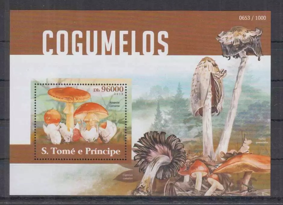 Sao Tome 2015 Mushrooms M/S HMN