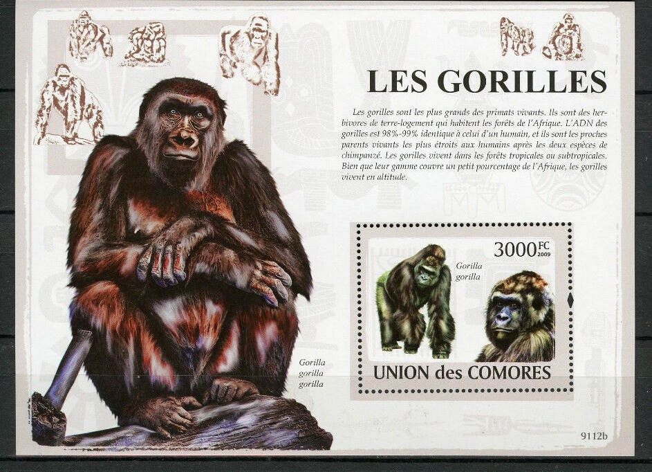 Comores 2009 Gorilles M/S MNH
