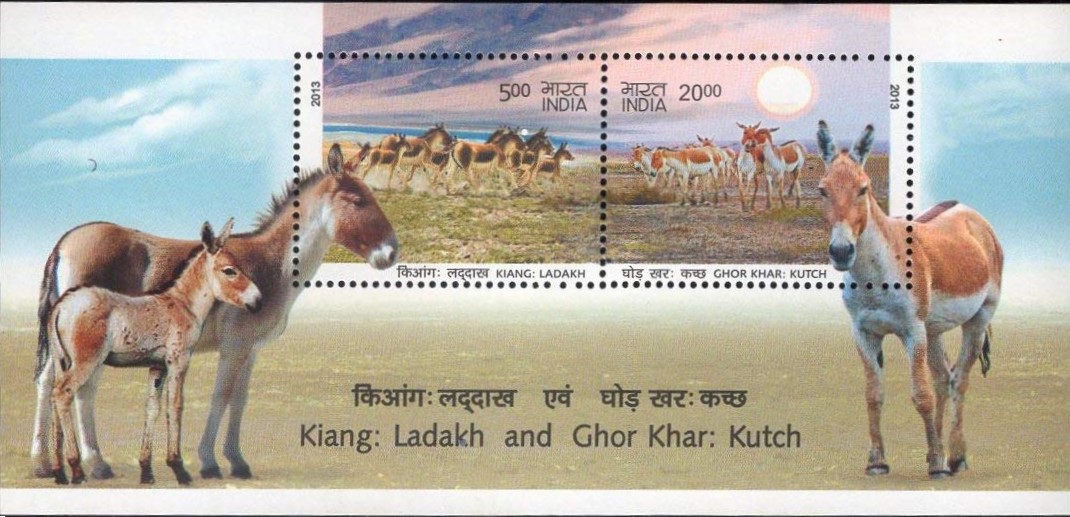 India 2013 Wild Ass. Miniature Sheet MNH