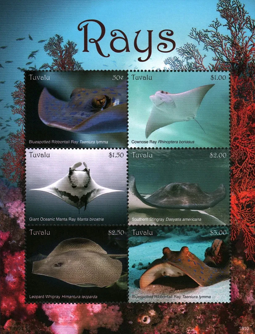 Tuvalu 2018 Rays Marine Life M/S MNH
