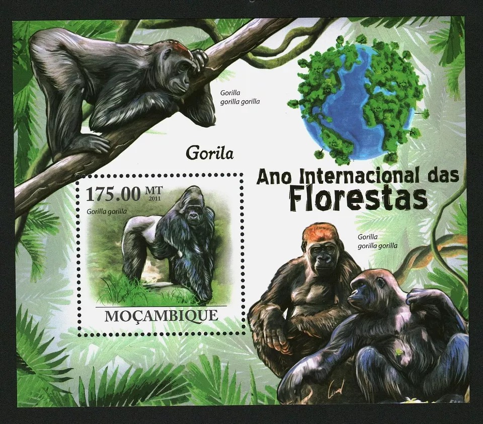 Mozambique 2011 Gorilla M/S HMN