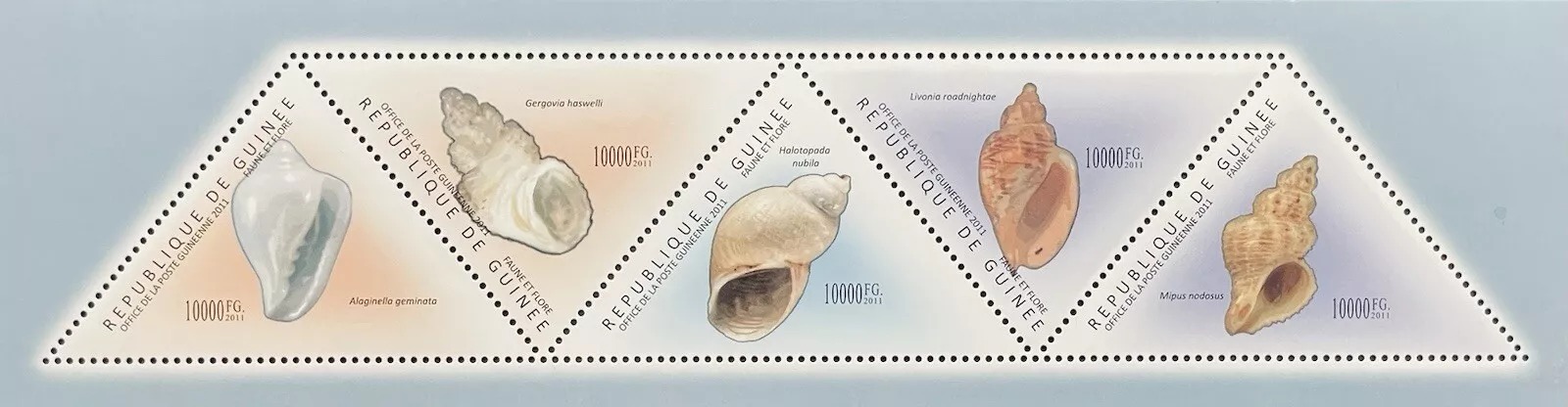 Guinee 2011 Sea Shells Marine Life B M/S MNH