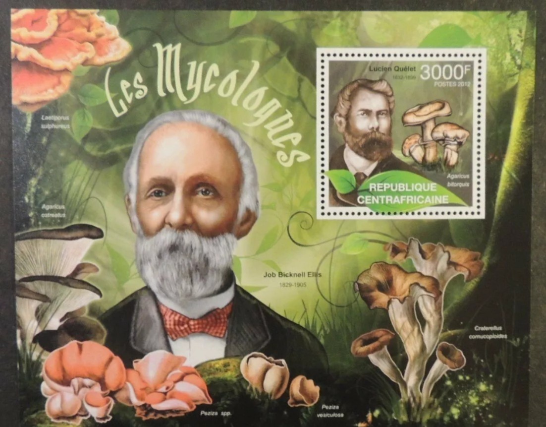 Central Africa 2012 Mycologists Job Ellis Lucien Mushrooms M/S MNH