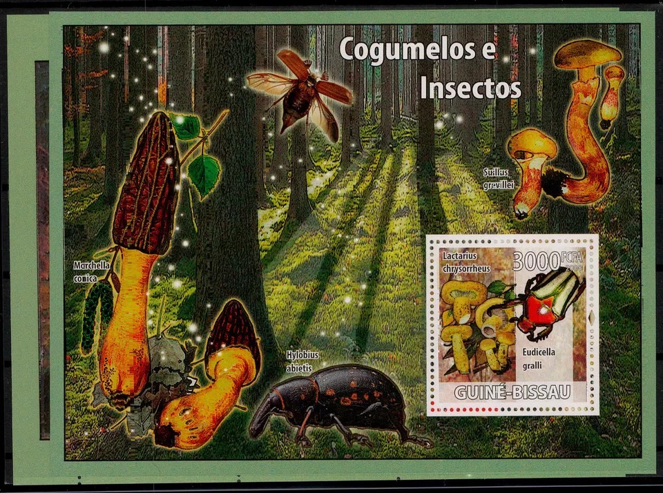 Guinea Bissau 2008 Beetles and Mushrooms M/S MNH