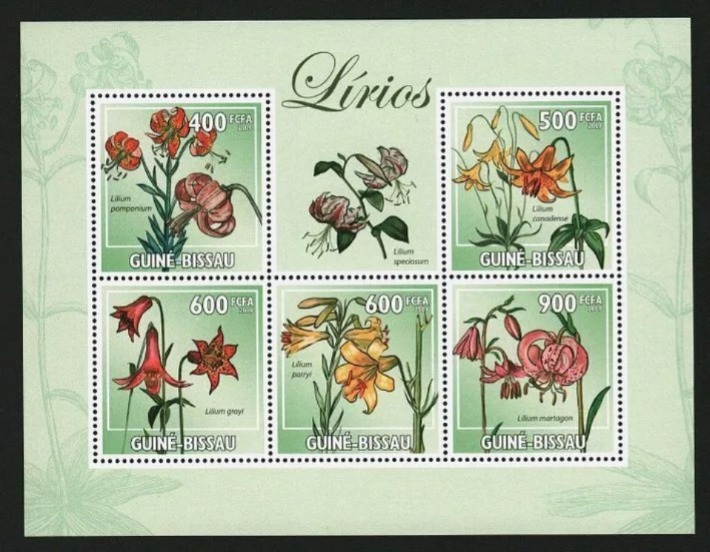 Guinea Bissau 2008 Flowers Lillie M/S MNH