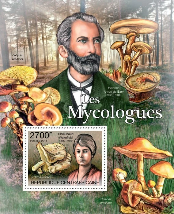 Central Africa 2011 Mushrooms M/S MNH