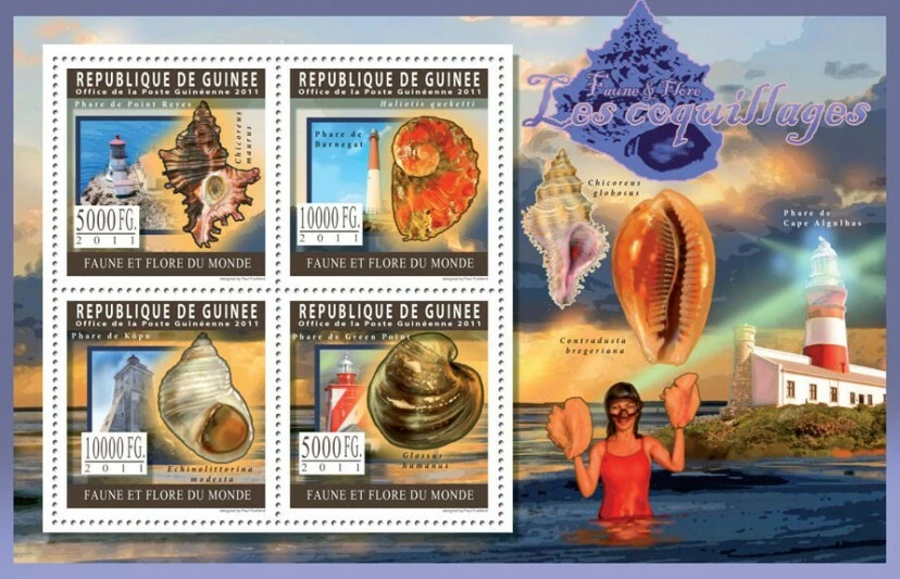 Guinee 2011 Shells M/S MNH