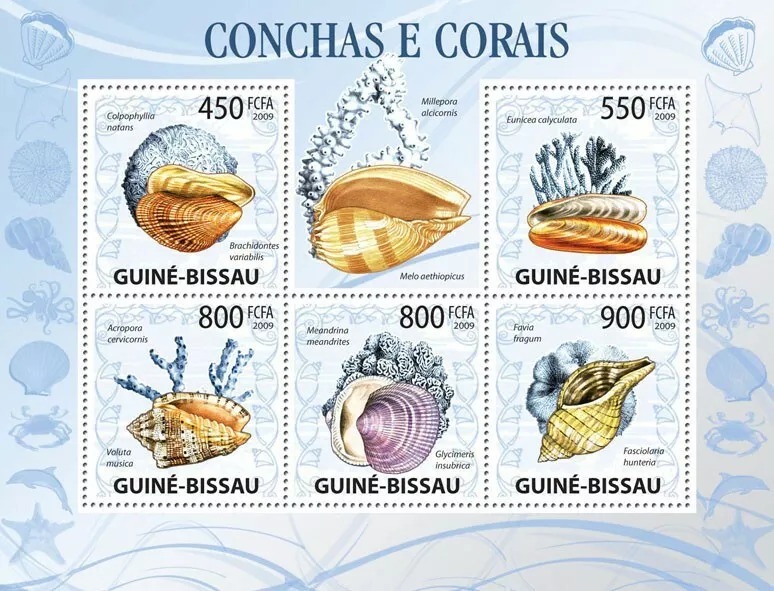 Guinea Bissau 2009 Shells & Corals M/S MNH