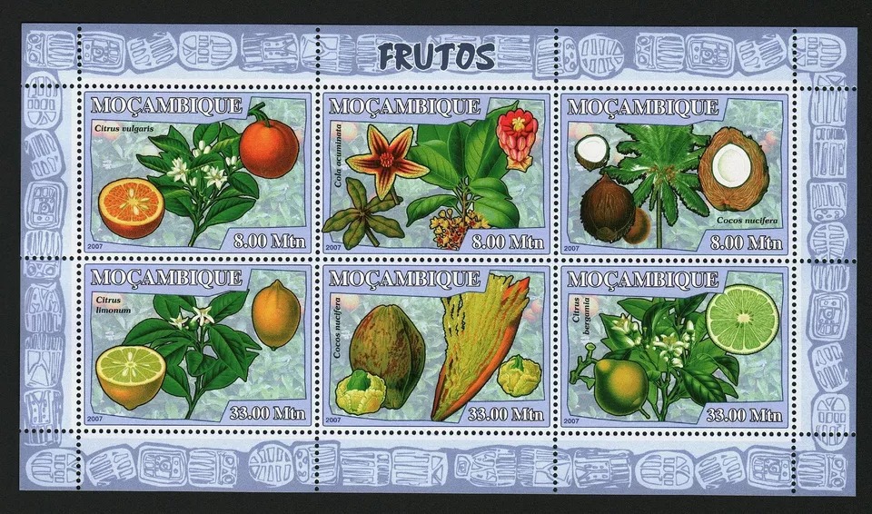 Mozambique 2007 Fruits Flowers Plants M/S HMN