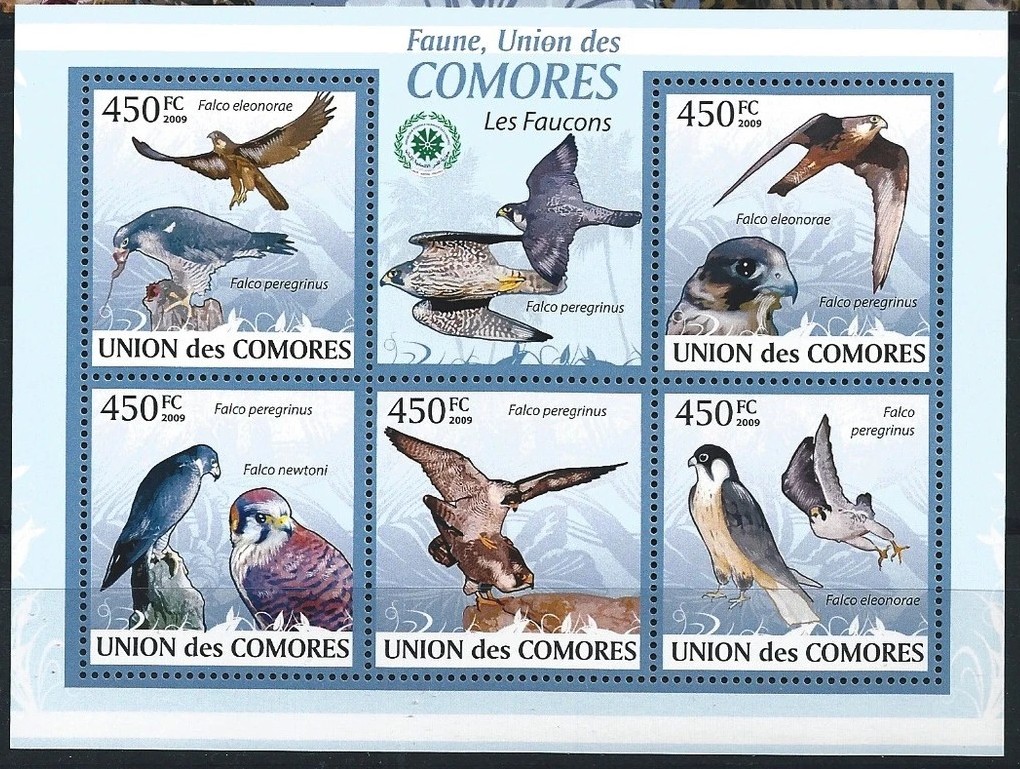 Comores 2009 Birds M/S MNH