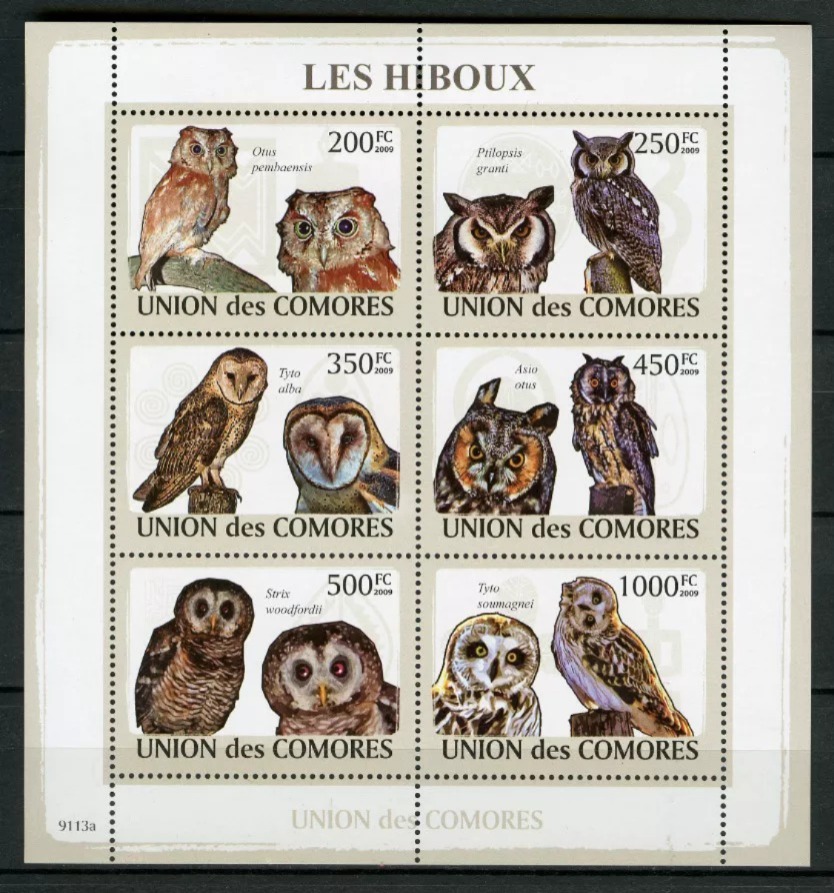 Guinea Bissau 2009 Owls Birds M/S MNH