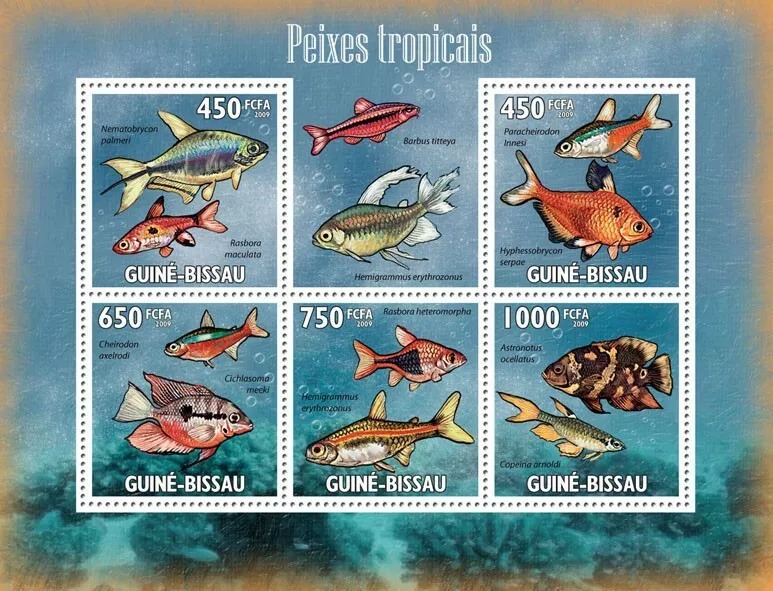 Guinea Bissau 2009 Tropical Fishes M/S MNH