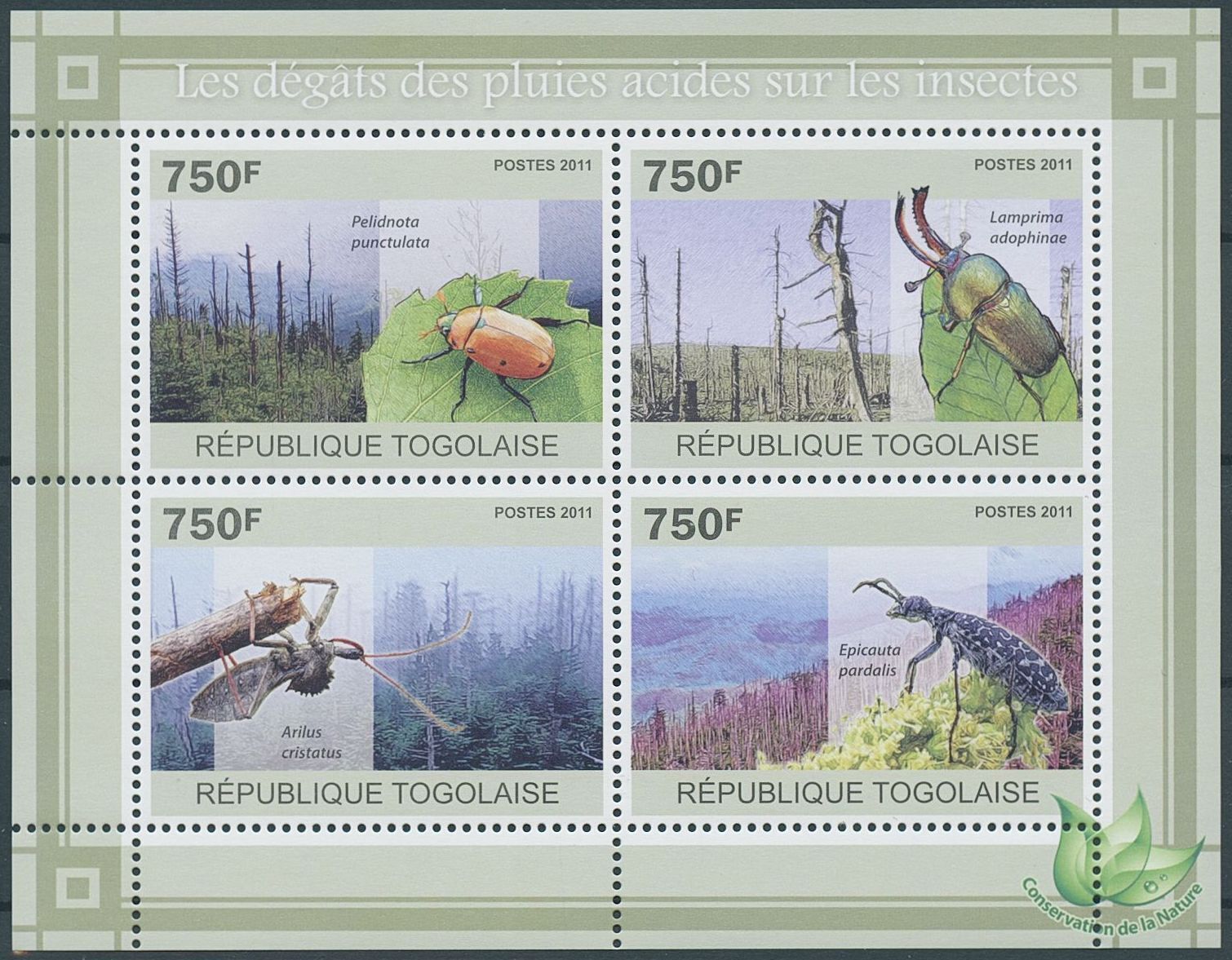 Togo 2011 Acid Rain Damage Insects Beetles M/S MNH