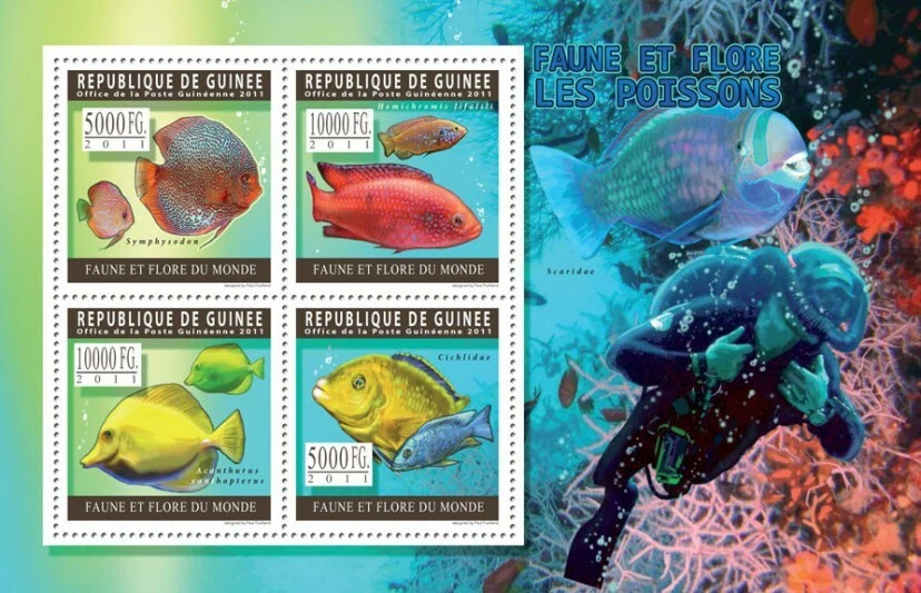 Guinee 2011 Fishes M/S MNH