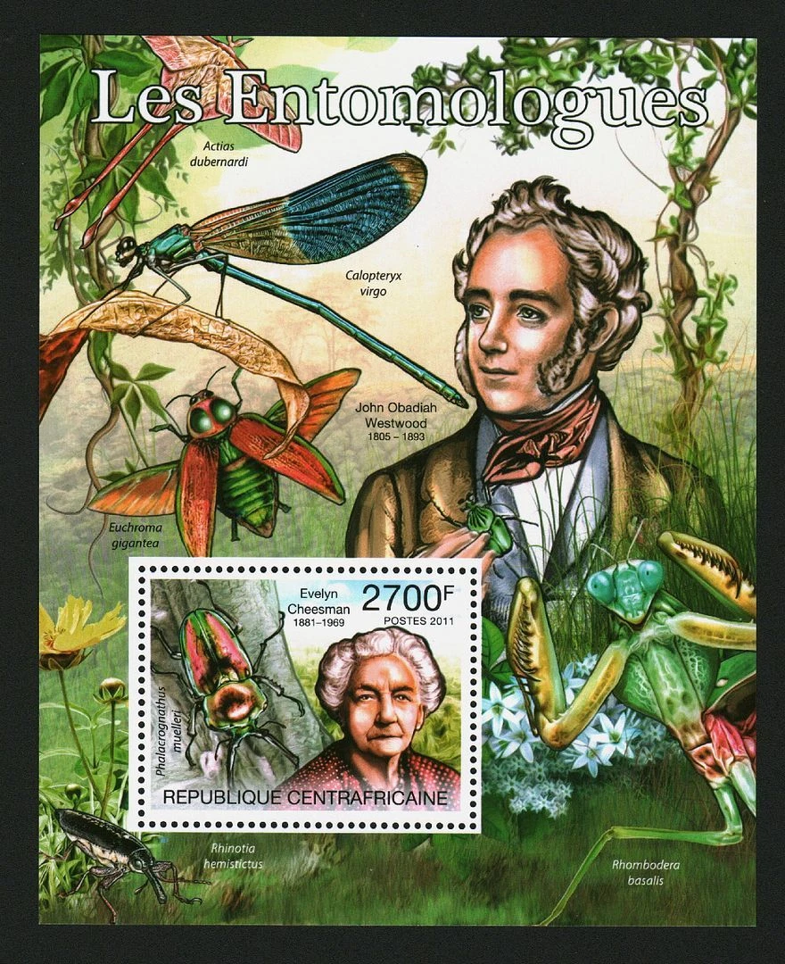 Central Africa 2011 Entomologists Insects M/S MNH