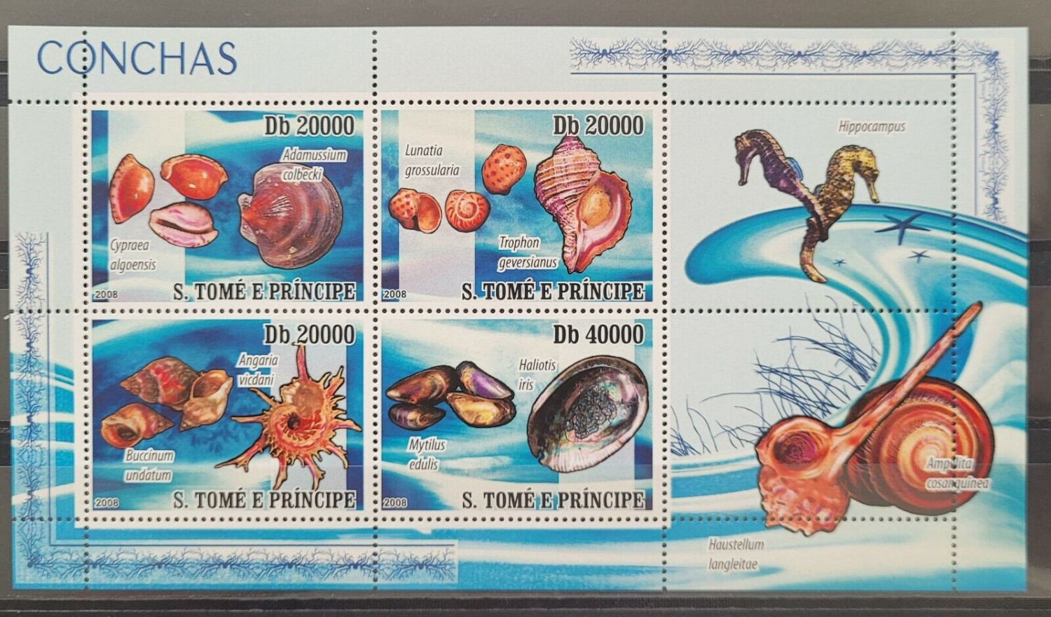 Sao Tome 2008 Marine Life Sea Shells  M/S MNH