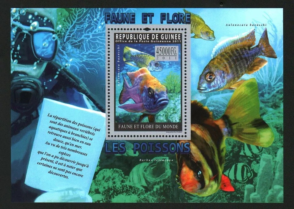 Guinee 2011 Fish M/S MNH