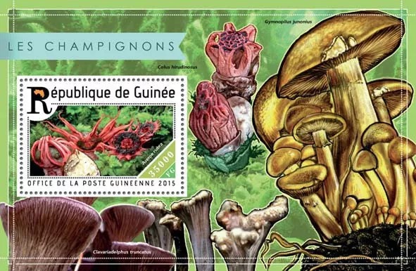 Guinee 2015 Mushrooms Fungi Nature M/S MNH