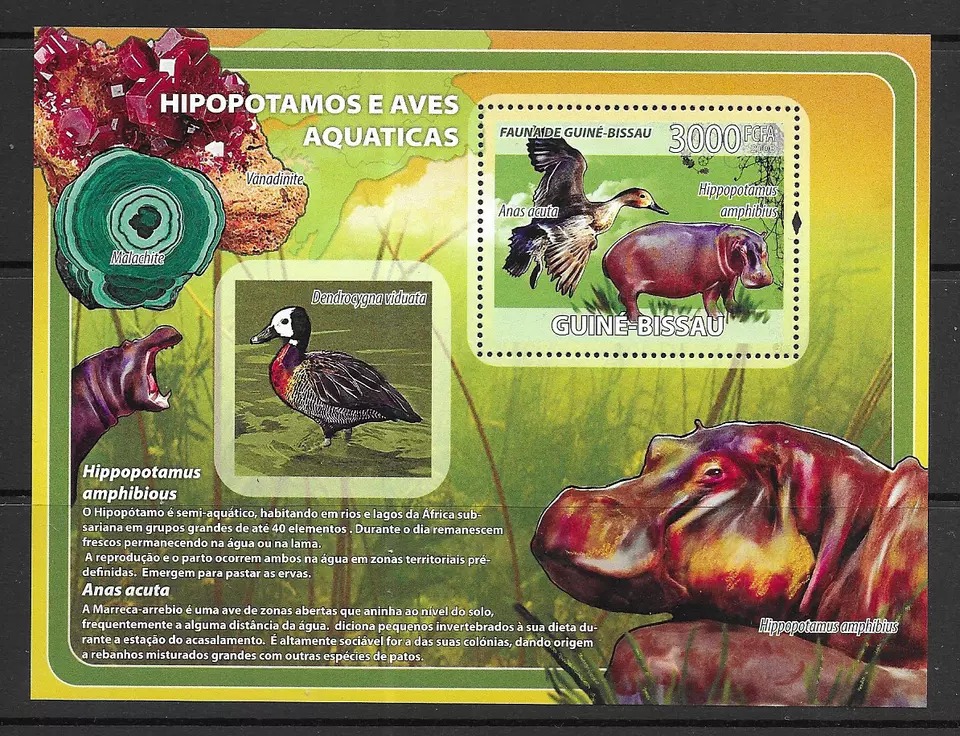 Guinea Bissau 2008 Hippos & Birds M/S MNH