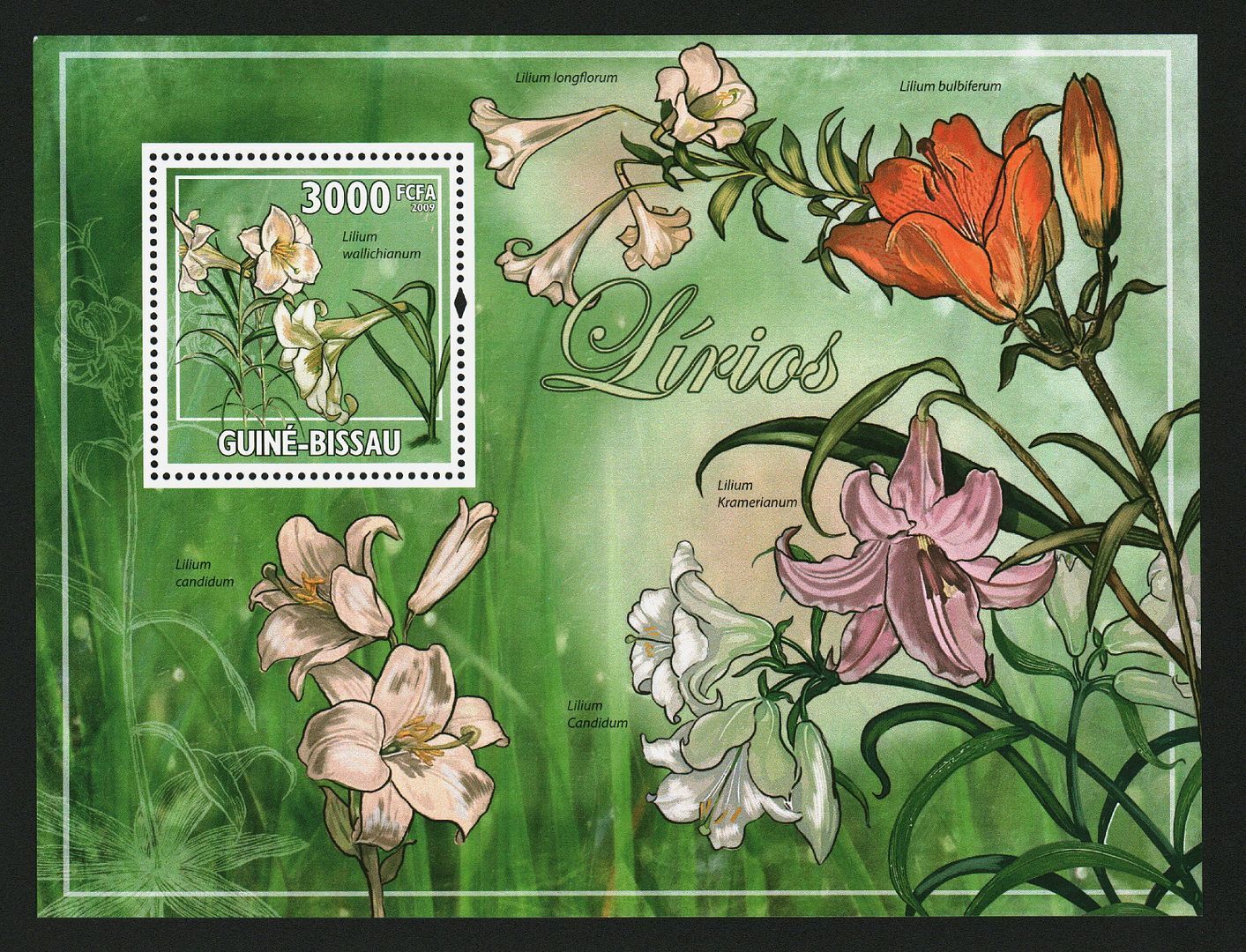 Guinea Bissau 2009 Flowers Lily M/S MNH