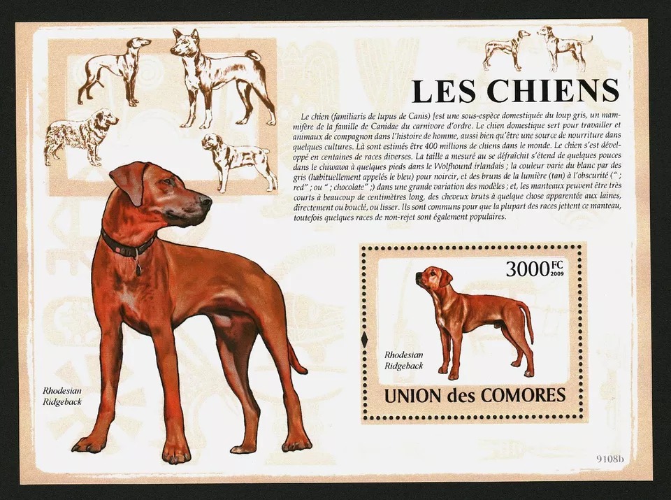 Comores 2009 Dogs M/S MNH