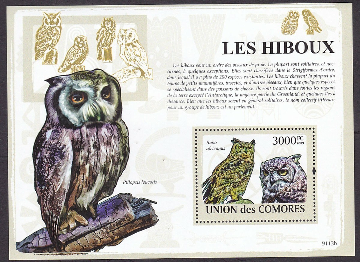 comores 2009 Olws Birds M/S MNH