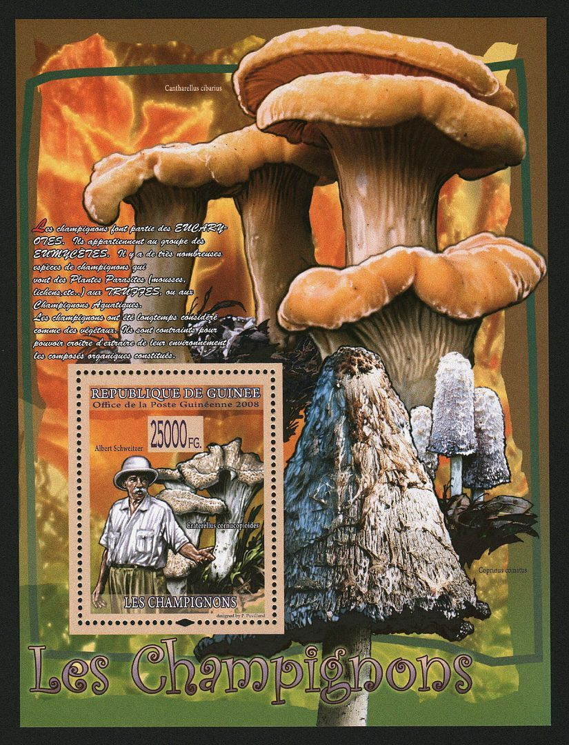 Guinee 2008 Mushrooms M/S MNH