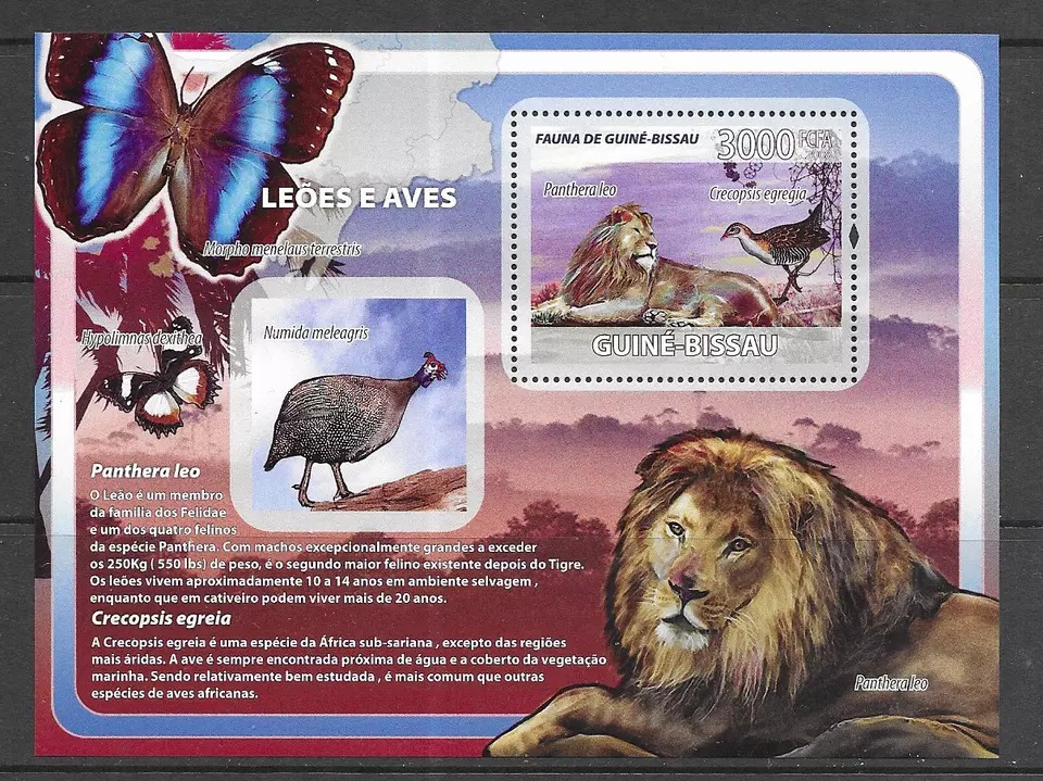 Guinea Bissau 2008 Lions & Birds M/S MNH