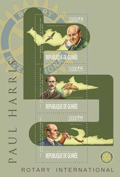 Guinee 2013 Paul Harris M/S HMN