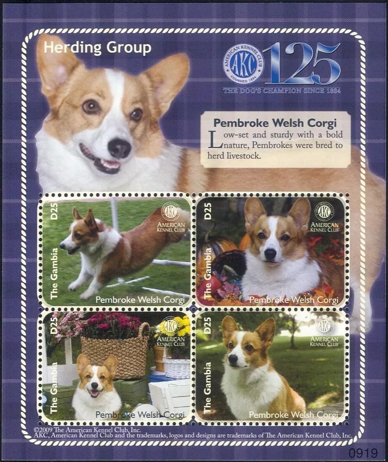 Gambia 2009 Pembroke Welsh Corgi Dogs