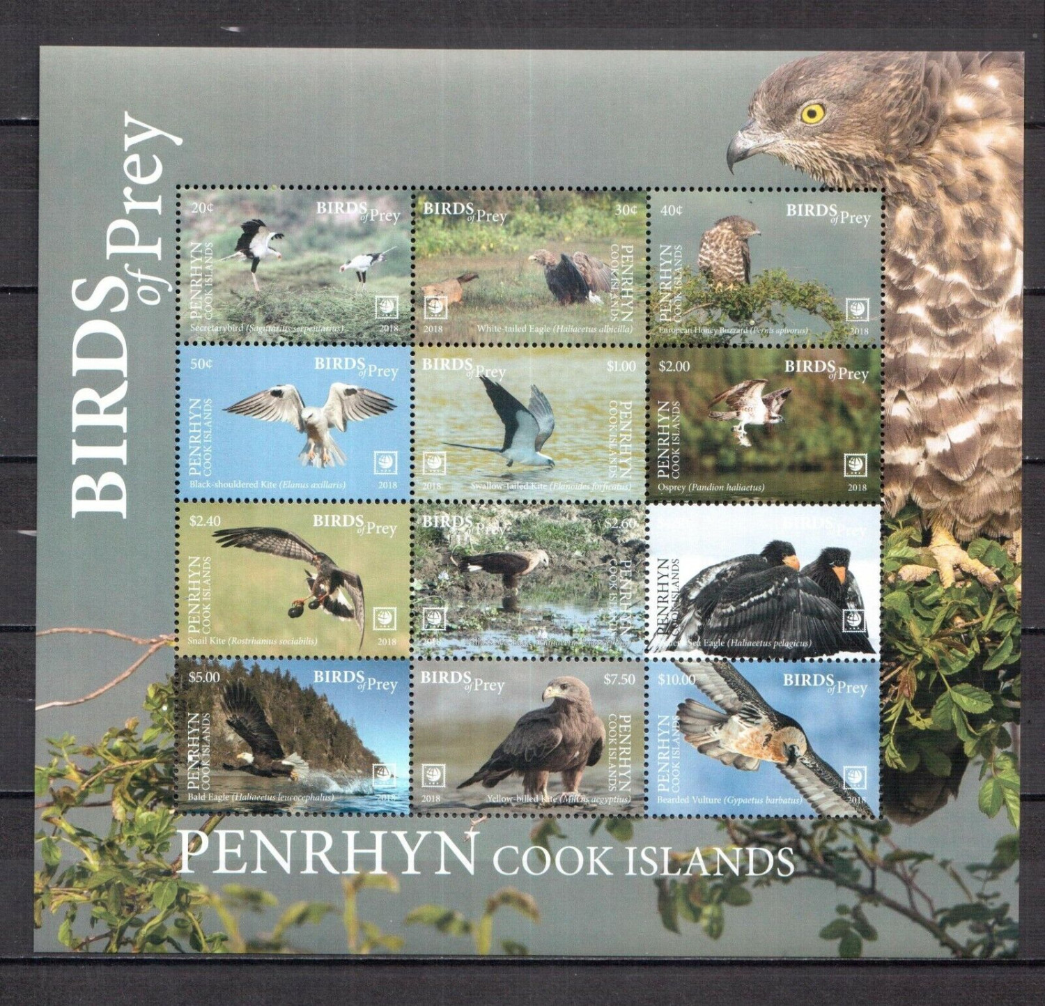Penrhyn 2018 Birds of Prey Owls M/S MNH