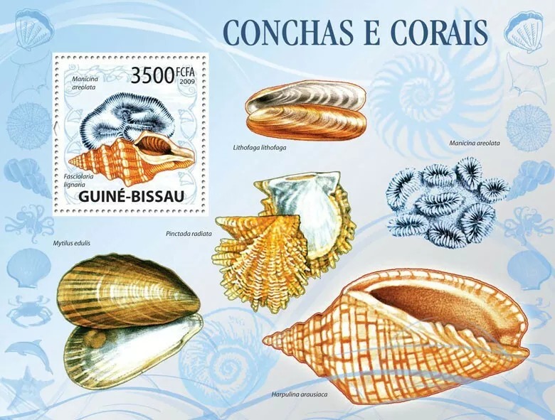 Guinea Bissau 2009 Shells & Corals M/S MNH