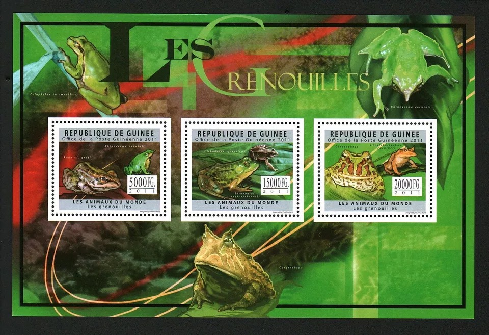 Guinee 2011 Frogs M/S MNH