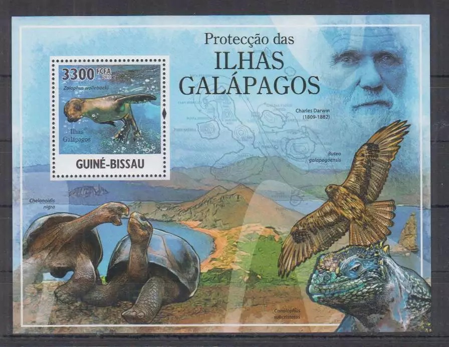 Guinea Bissau 2011 Nature Fauna Galapagos Islands M/S MNH