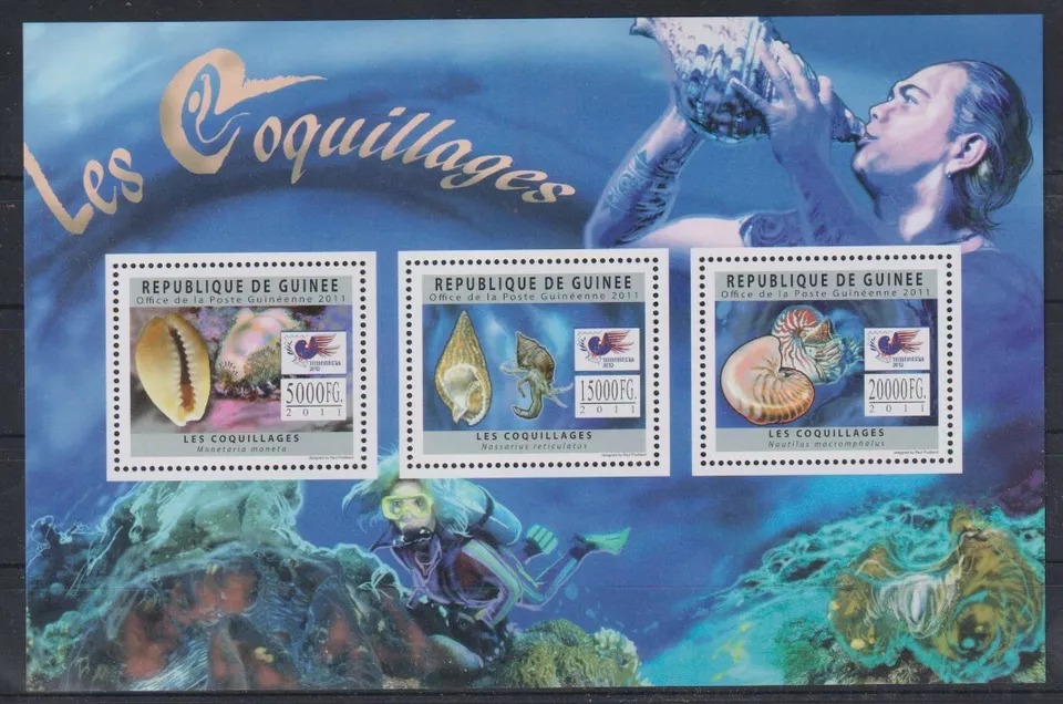 Guinee 2011 Sea Shells M/S MNH